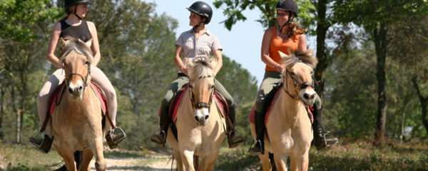 équitation