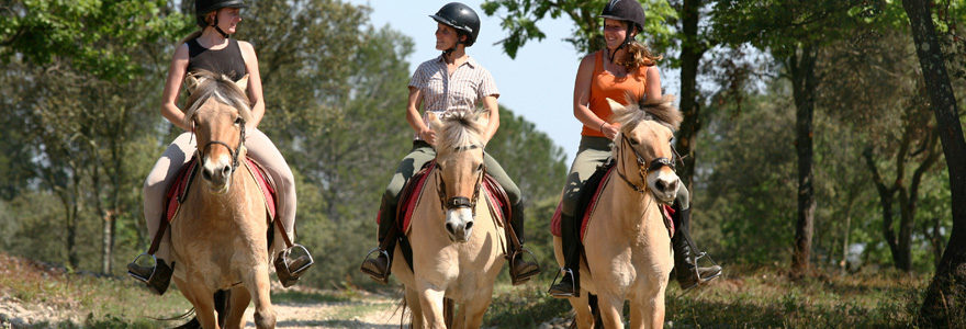 équitation